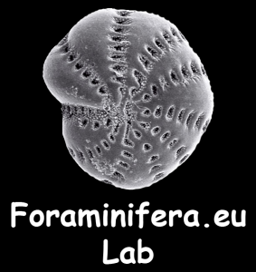 Logo Foraminifera Lab