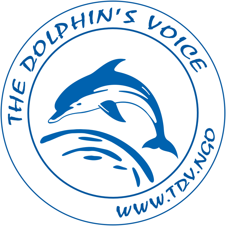 ogo The Dolphin's Voice