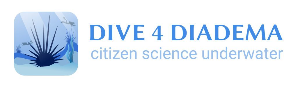Dive4Diadema – citizen science underwater, better oceans