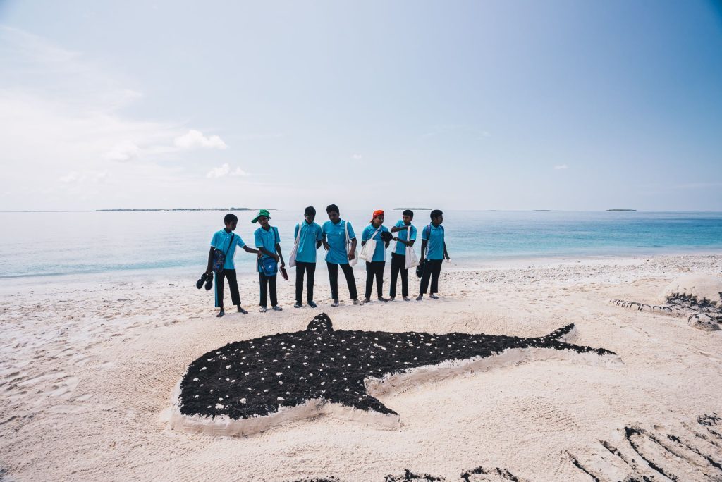 World Whale Shark Day