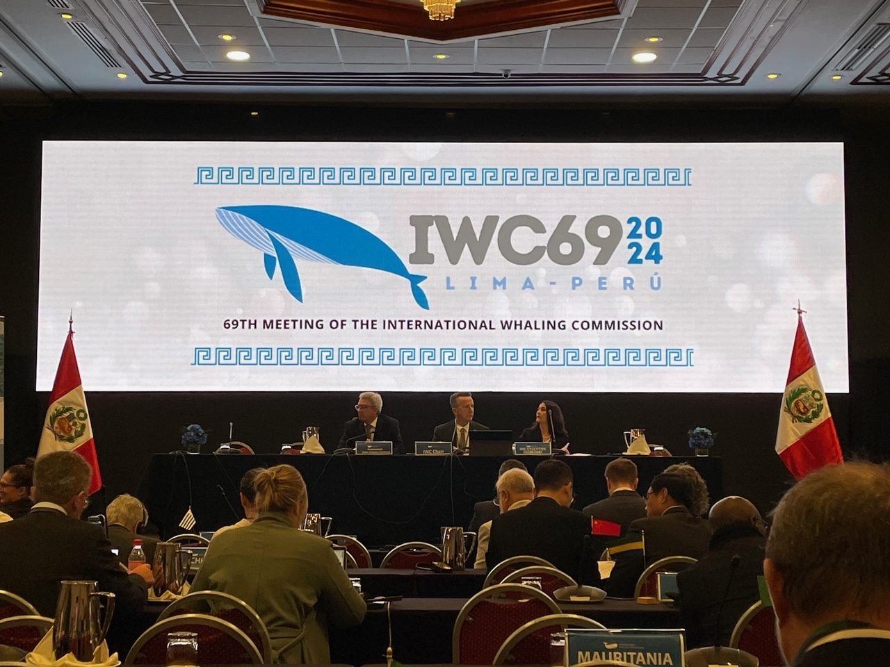 Pro Wildlife auf der International Whaling Commission 2024 in Lima / Peru